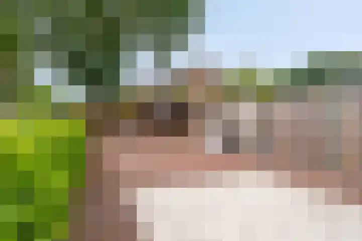 Pianohof 24 Etten-Leur thumbnail 25