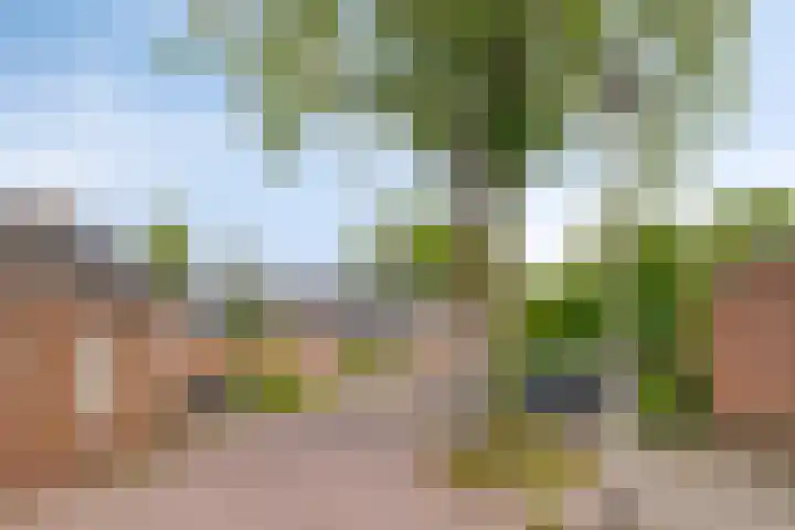 Pianohof 24 Etten-Leur thumbnail 27