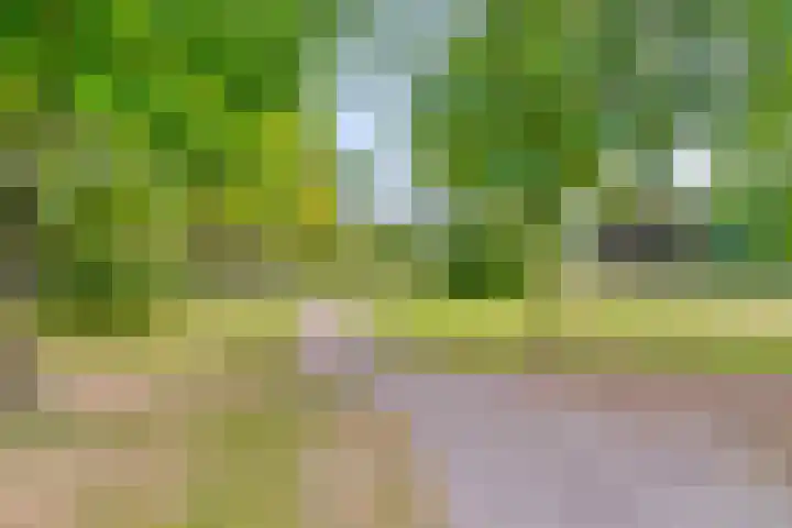 Pianohof 24 Etten-Leur thumbnail 28
