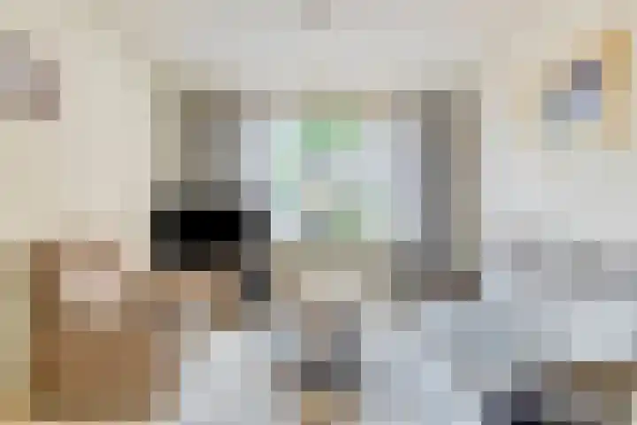 Pianohof 24 Etten-Leur thumbnail 4