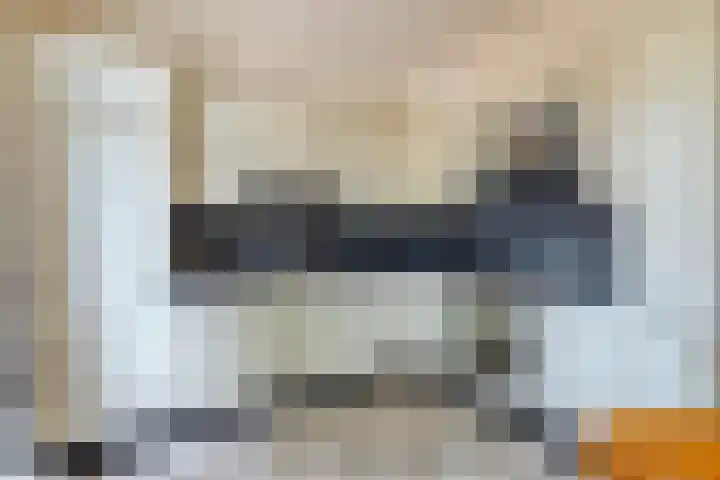 Pianohof 24 Etten-Leur thumbnail 8