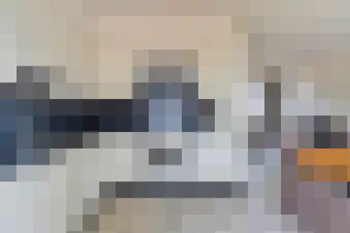 Pianohof 24 Etten-Leur thumbnail 9