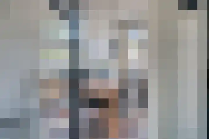 Pianohof 95 Etten-Leur thumbnail 11