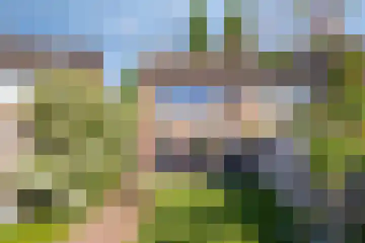 Pianohof 95 Etten-Leur thumbnail 37