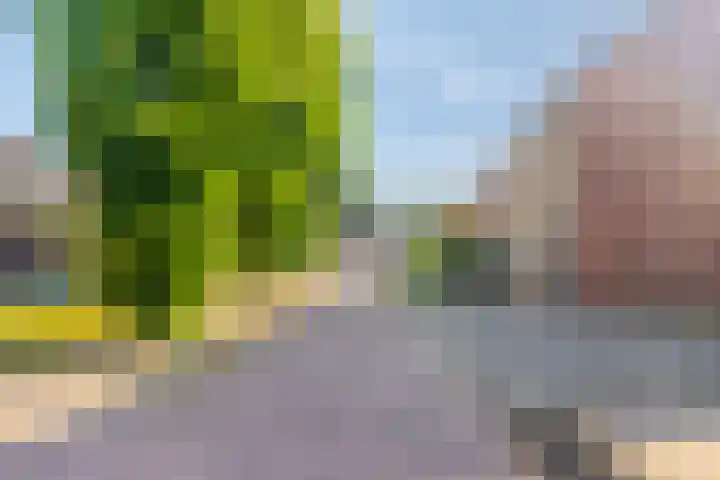 Pianohof 95 Etten-Leur thumbnail 7
