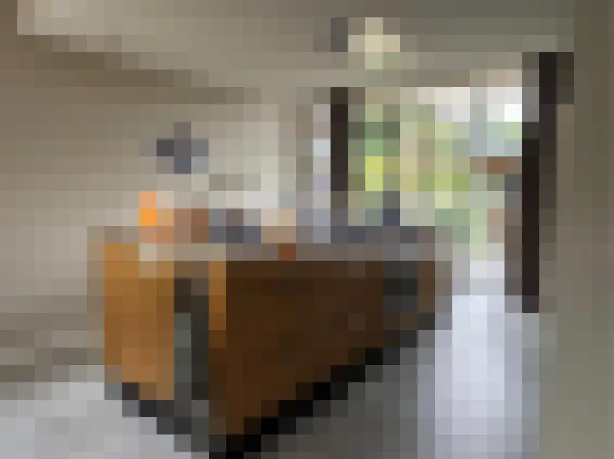 Pianolaan 10 Oldenzaal thumbnail 5