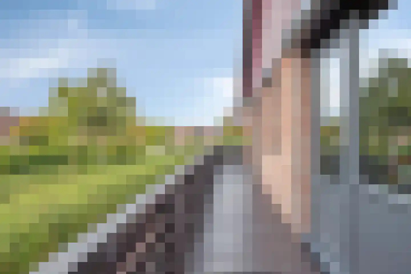 Pianopad 14 Spijkenisse thumbnail 26