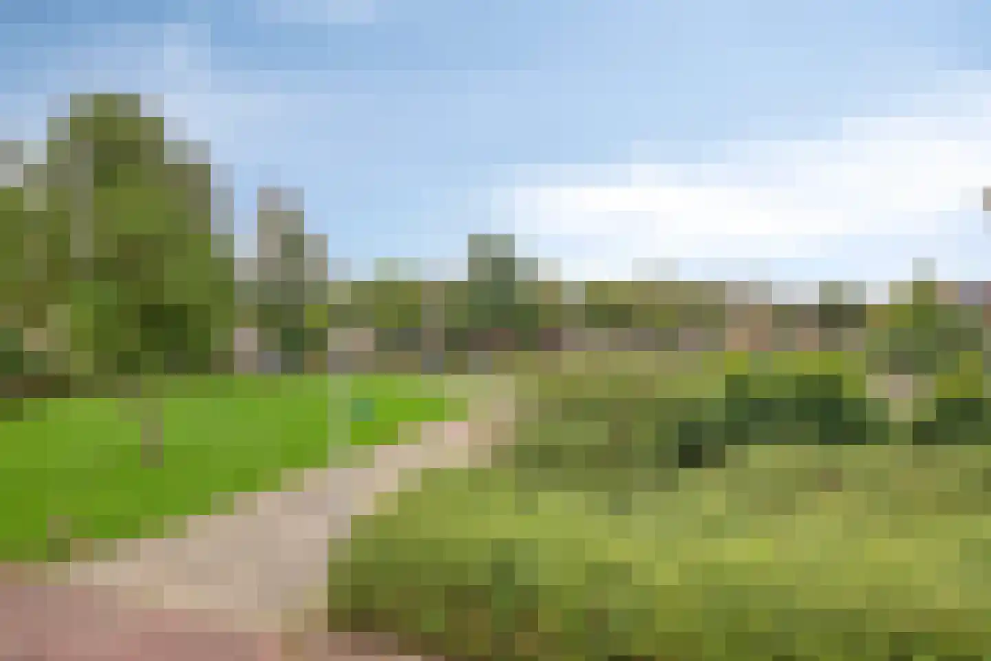 Pianopad 14 Spijkenisse thumbnail 27
