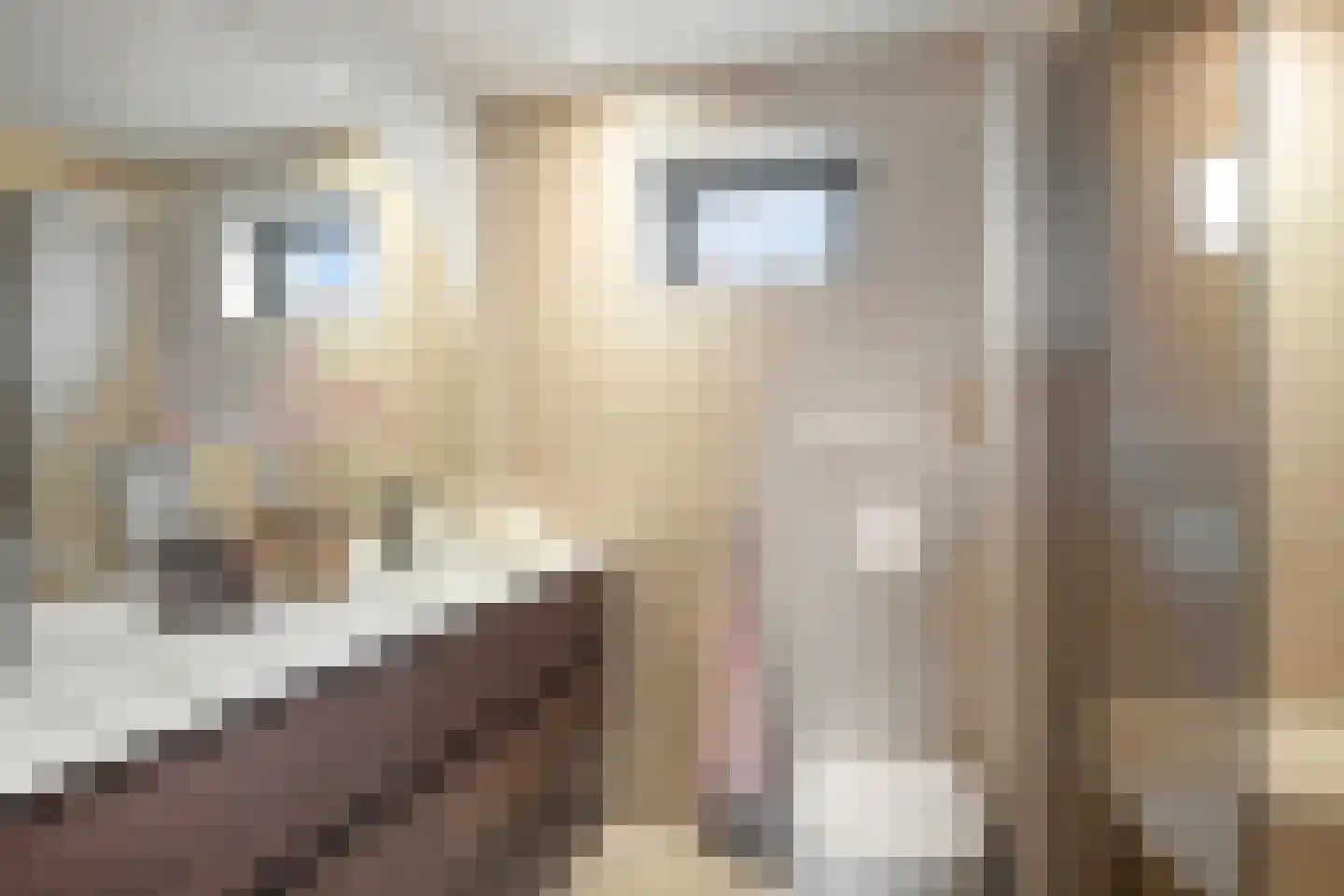 Pianopad 14 Spijkenisse thumbnail 29