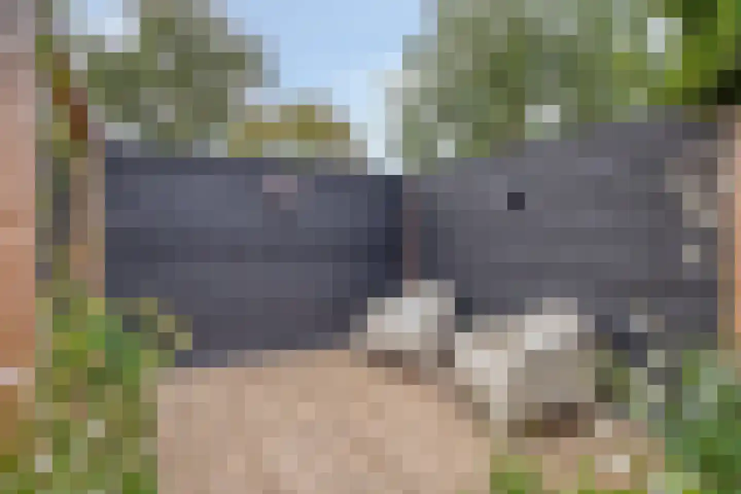 Pianopad 14 Spijkenisse thumbnail 45