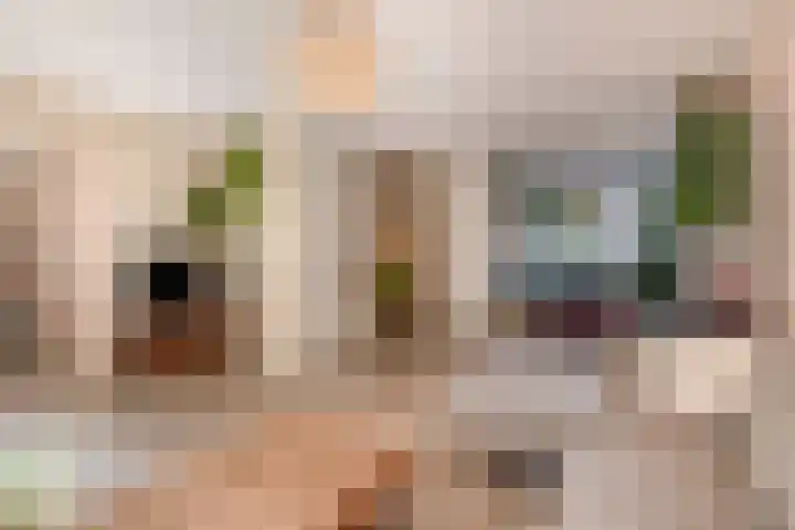Pianostraat 30 Eindhoven thumbnail 18