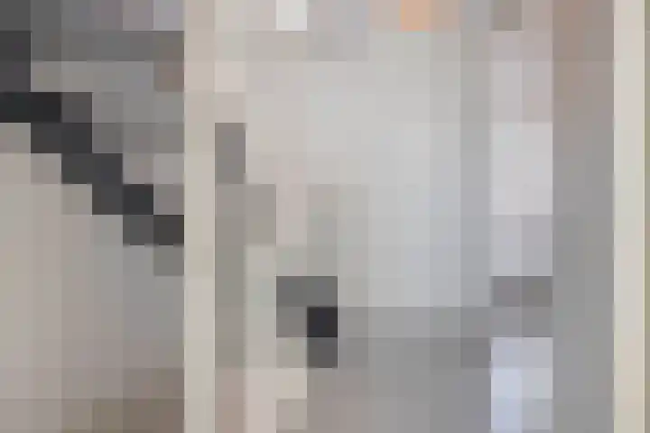 Pianostraat 30 Eindhoven thumbnail 25