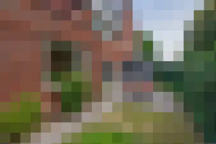 Pianostraat 30 Eindhoven thumbnail 32