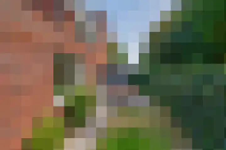 Pianostraat 30 Eindhoven thumbnail 33