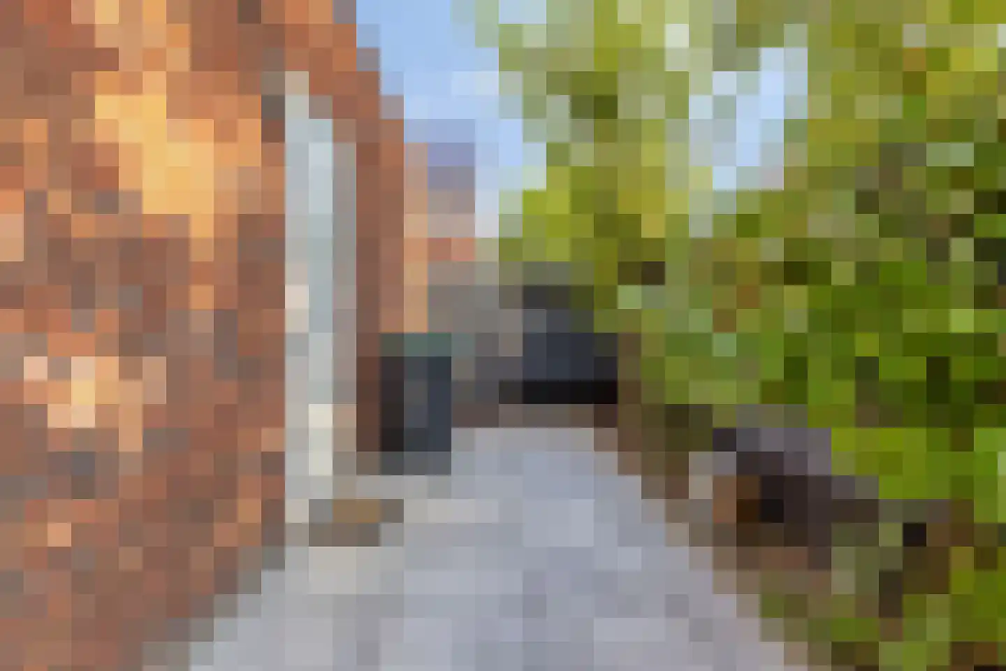 Pianostraat 8 Eindhoven thumbnail 27