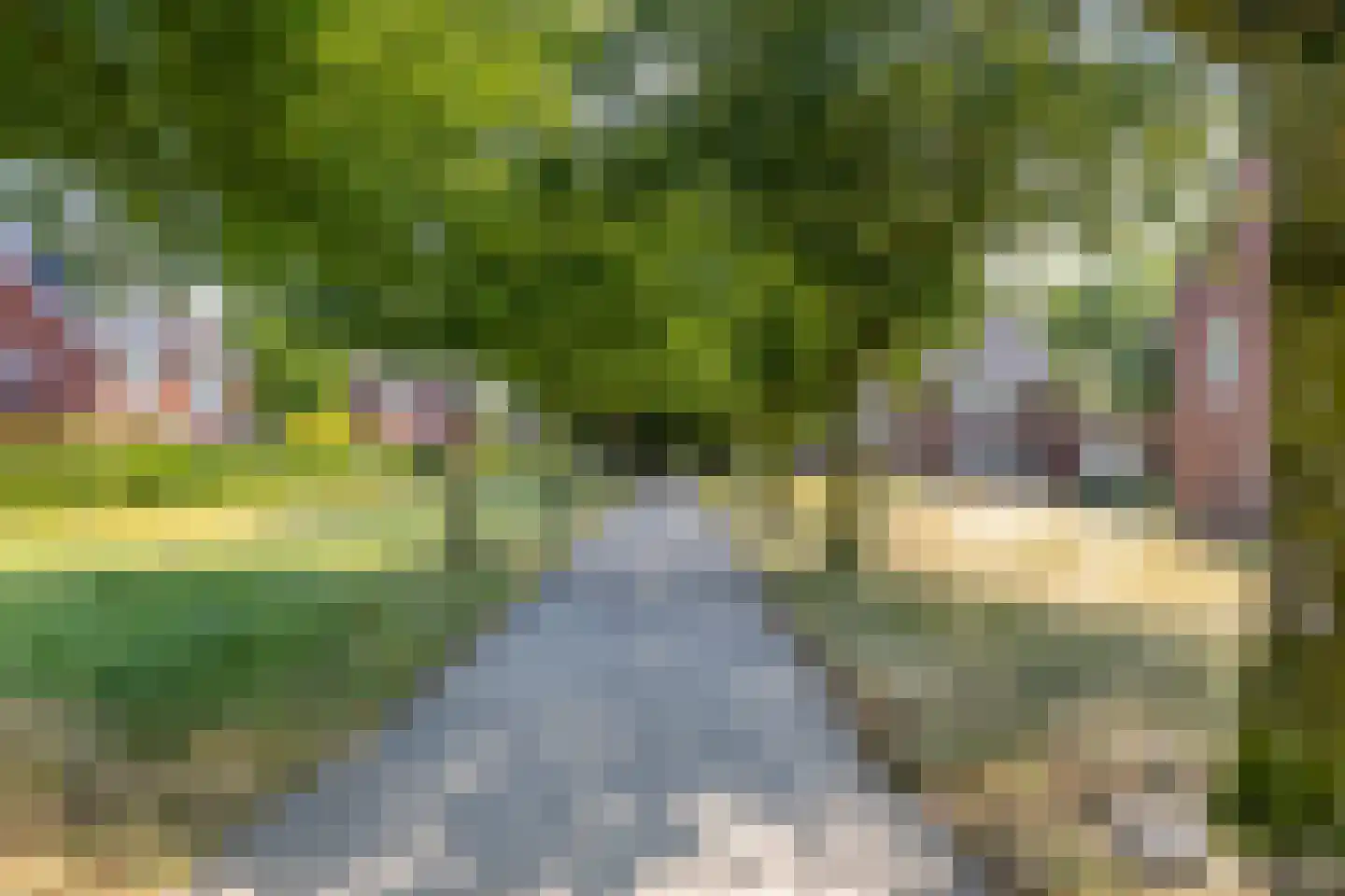 Pianostraat 8 Eindhoven thumbnail 33