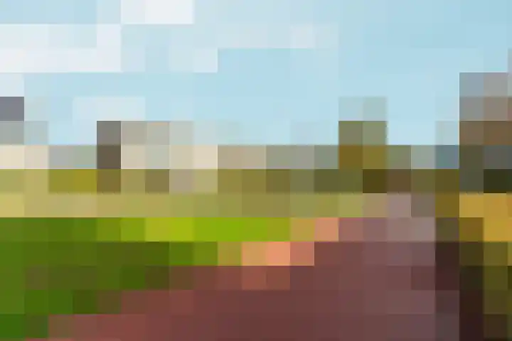 Pianoweg 35 Almere thumbnail 38