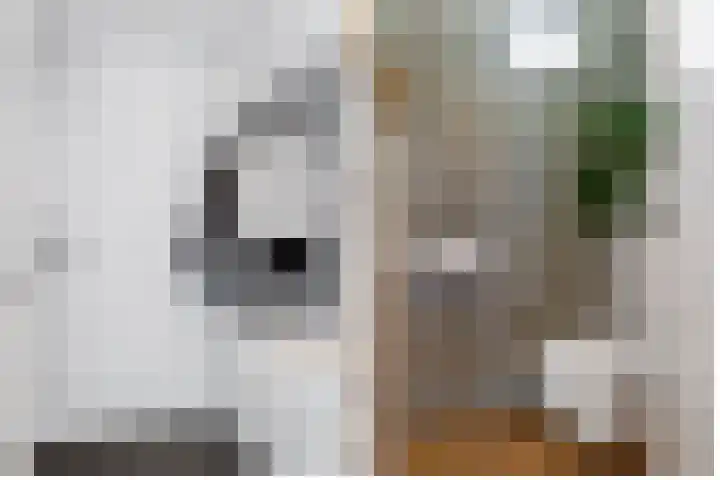 Pianoweg 8 Almere thumbnail 7