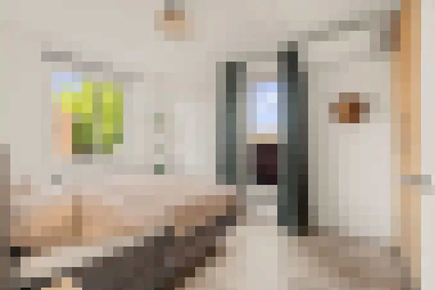 Piazza 110 Houten thumbnail 24