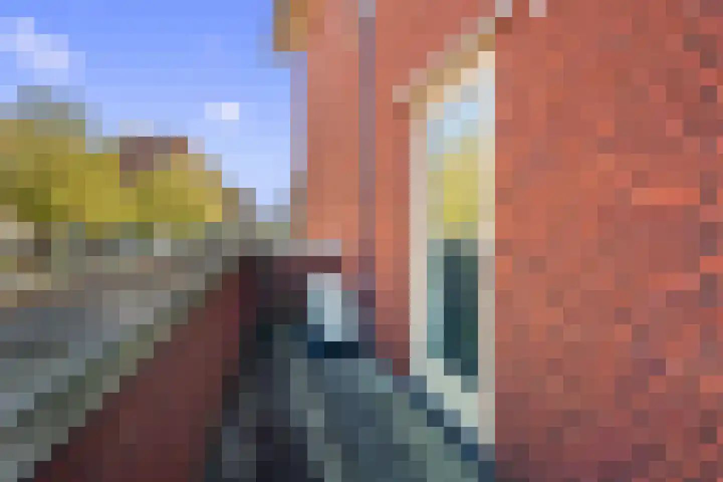 Piazza 110 Houten thumbnail 27