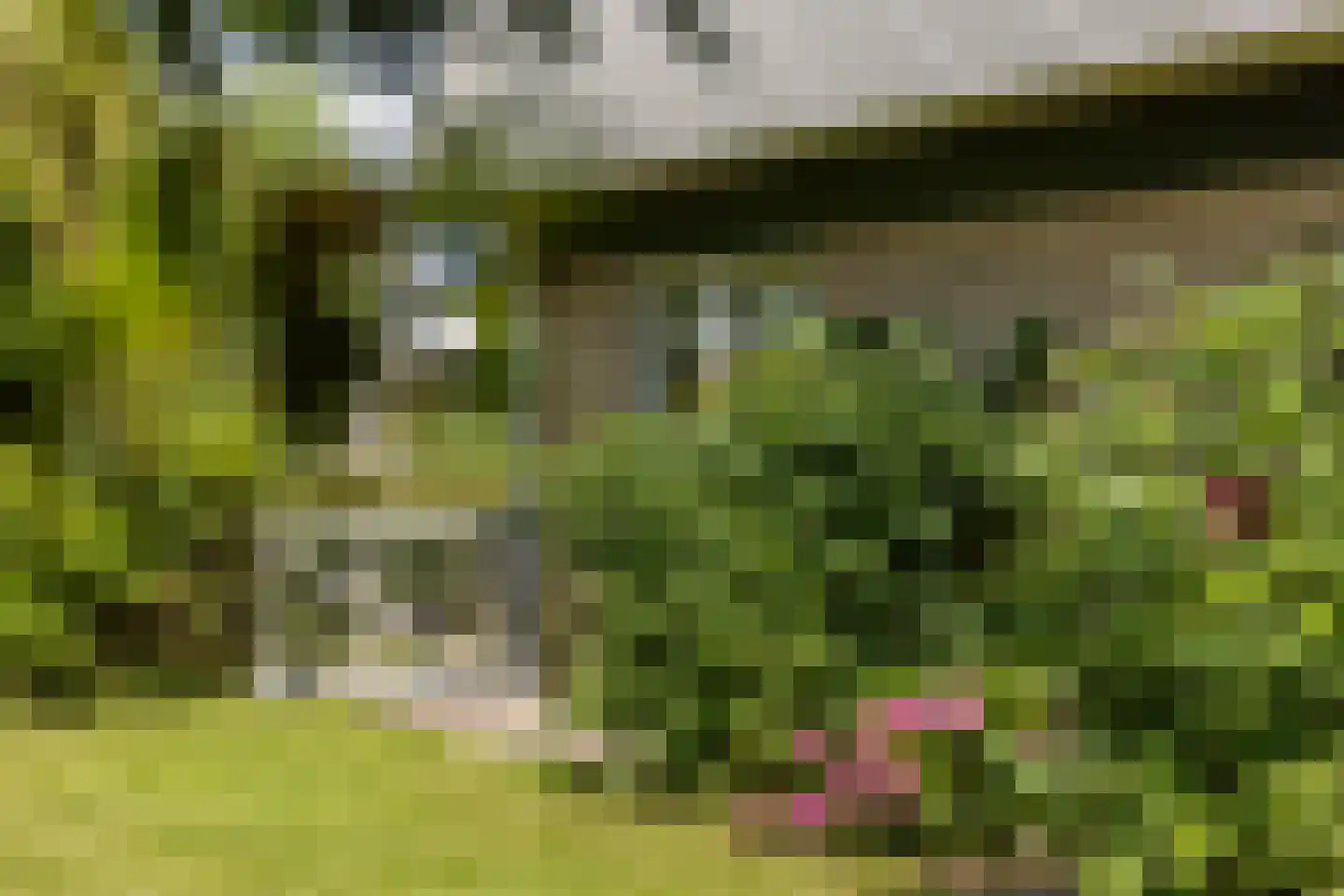 Pibemalaan 28 Pingjum thumbnail 21