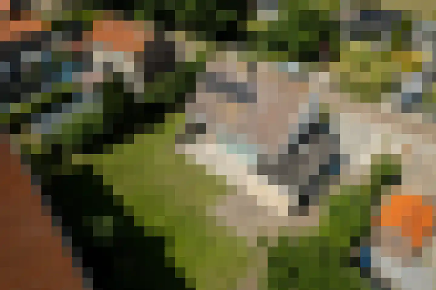 Pibemalaan 28 Pingjum thumbnail 22