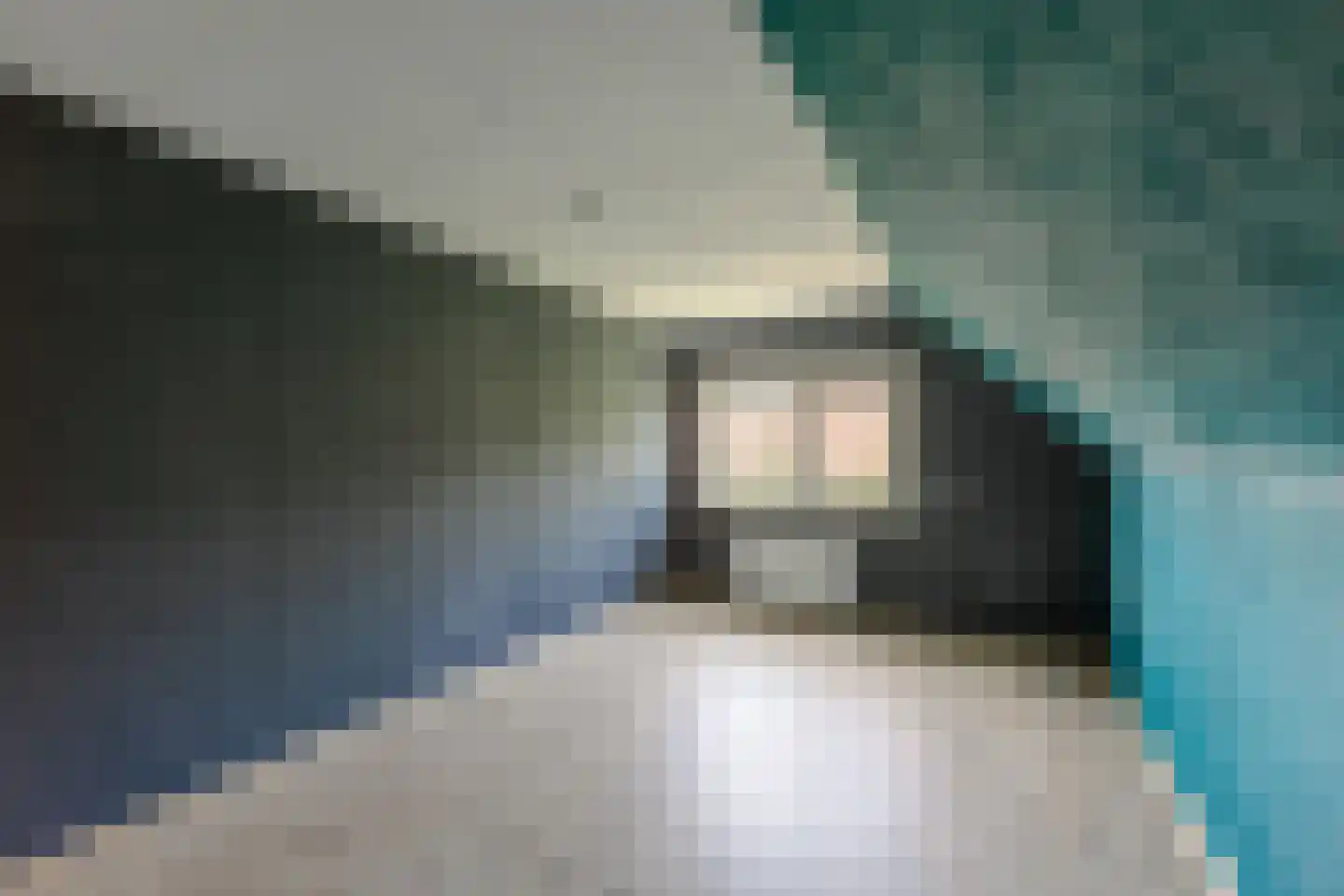 Pibemalaan 28 Pingjum thumbnail 25