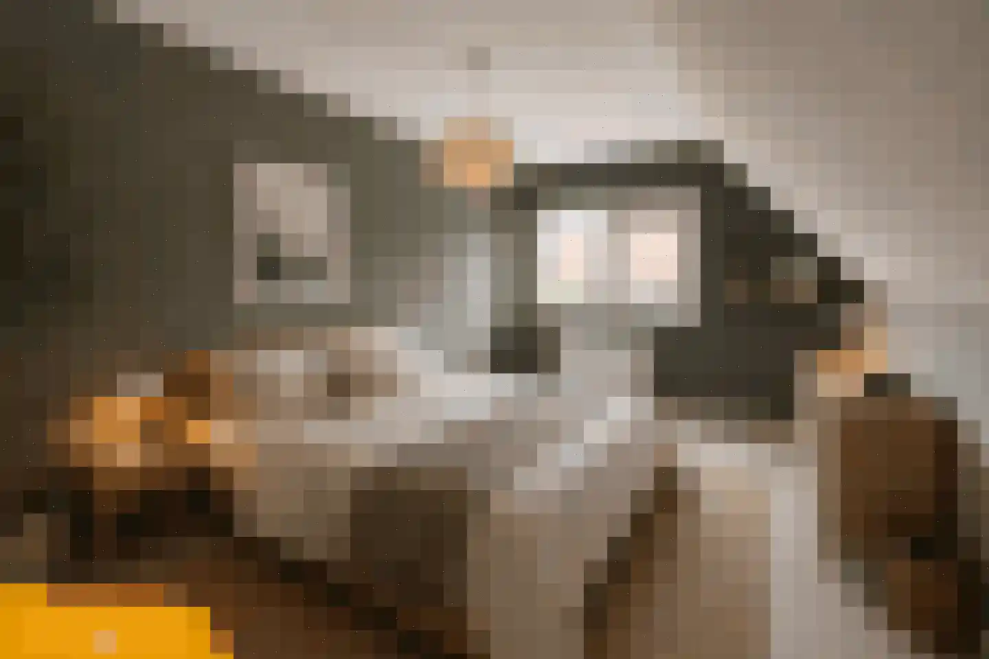 Pibemalaan 28 Pingjum thumbnail 26