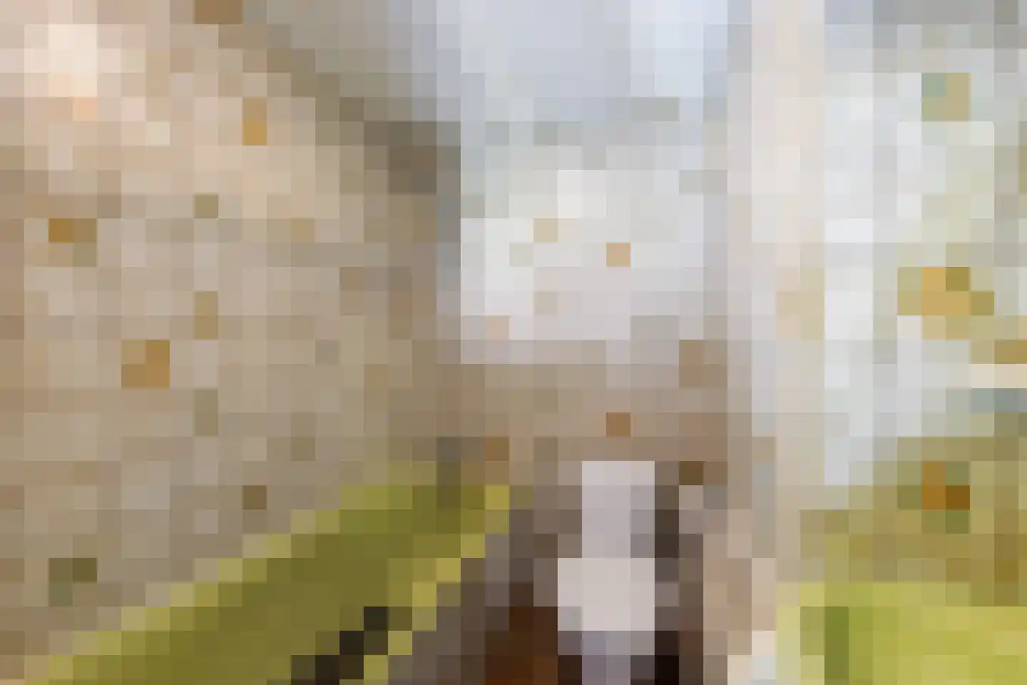 Pibemalaan 28 Pingjum thumbnail 34