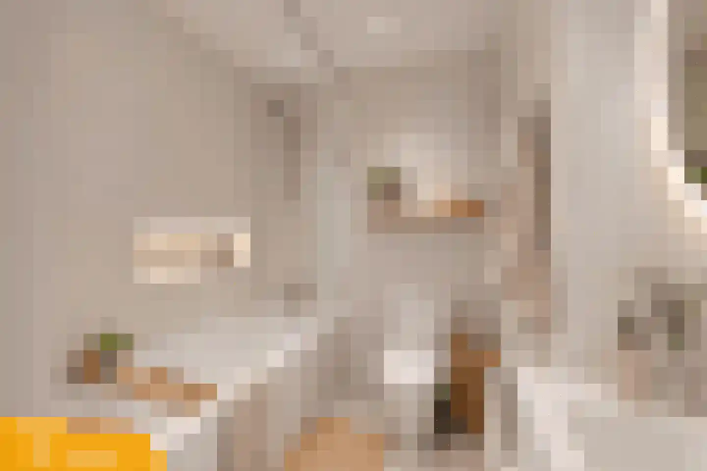 Pibemalaan 28 Pingjum thumbnail 35