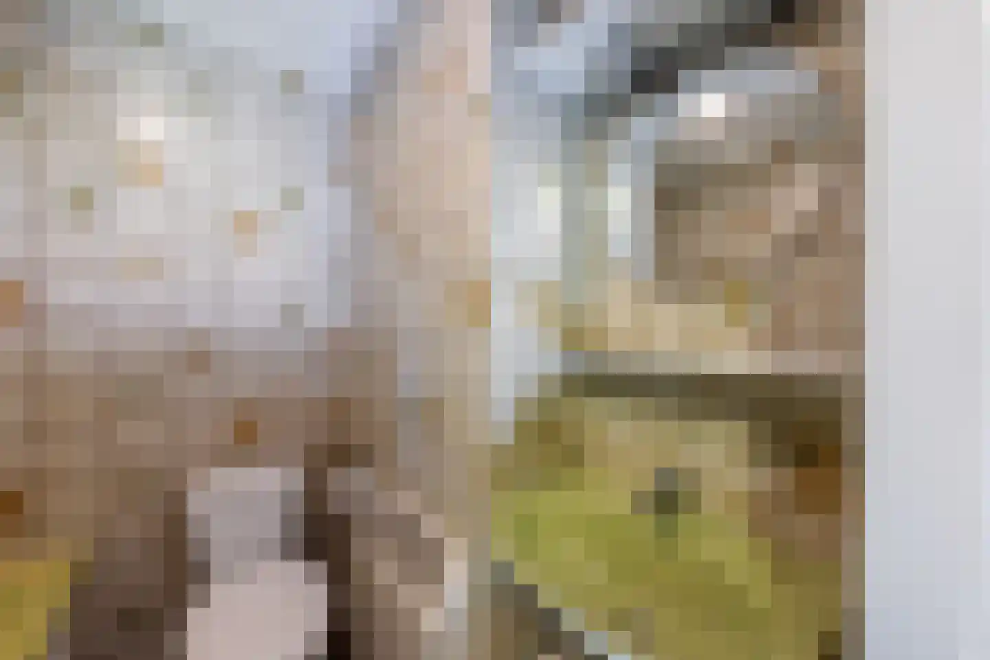 Pibemalaan 28 Pingjum thumbnail 36