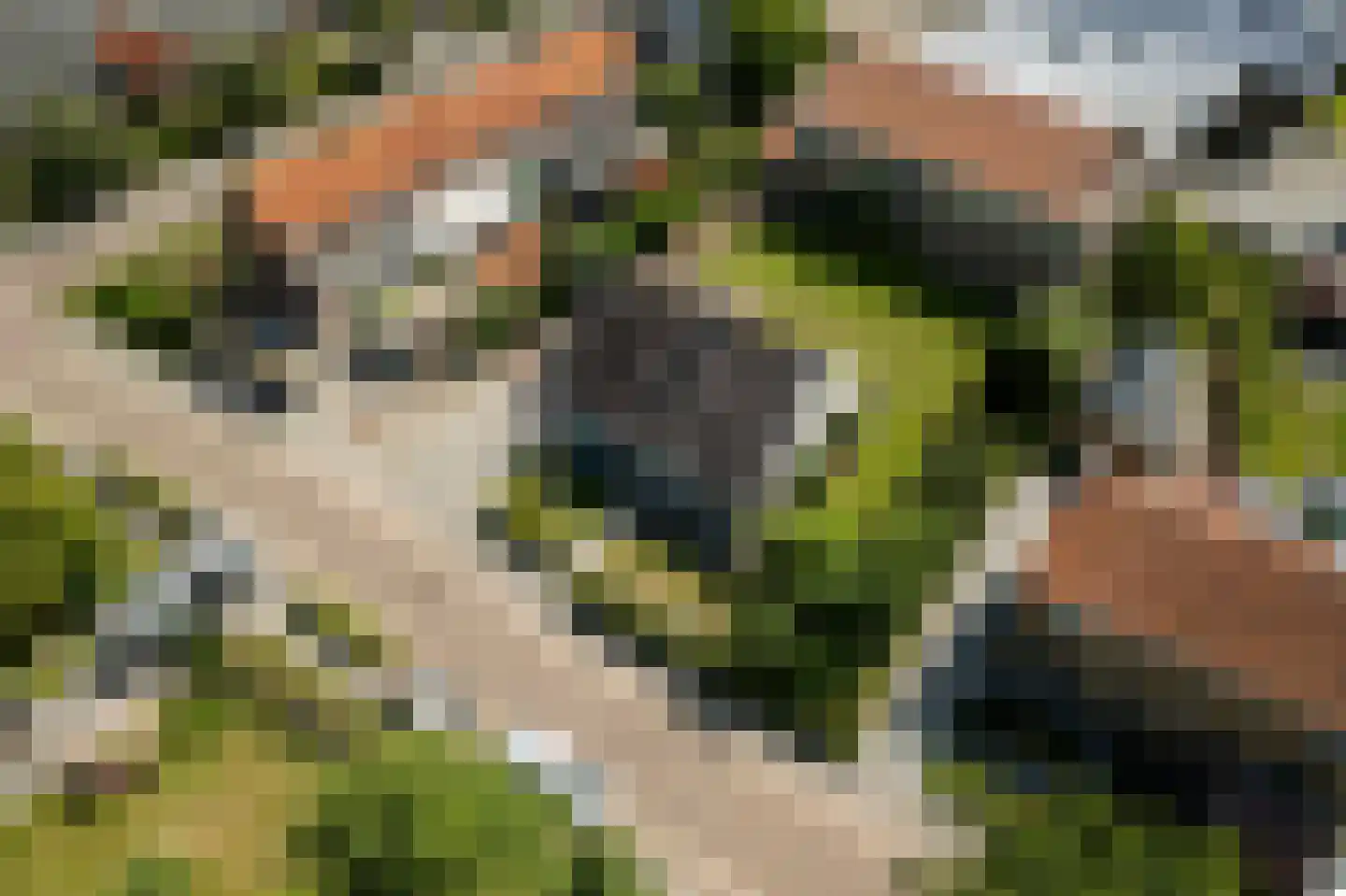 Pibemalaan 28 Pingjum thumbnail 39