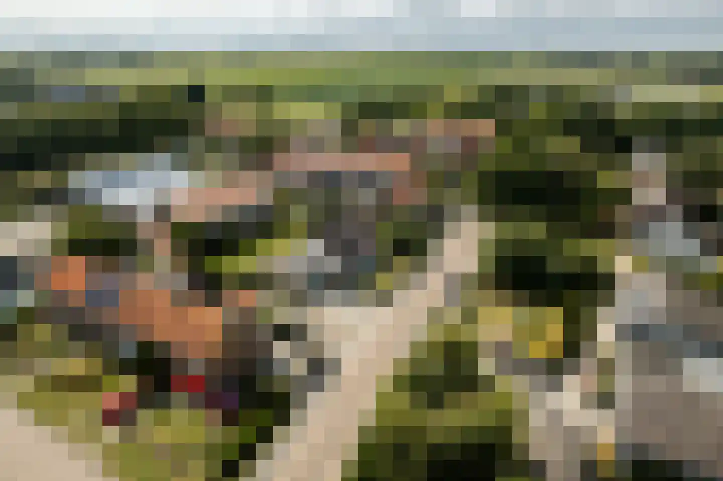 Pibemalaan 28 Pingjum thumbnail 40