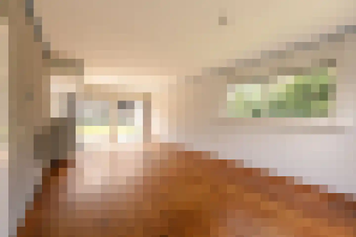 Pibemalaan 28 Pingjum thumbnail 7