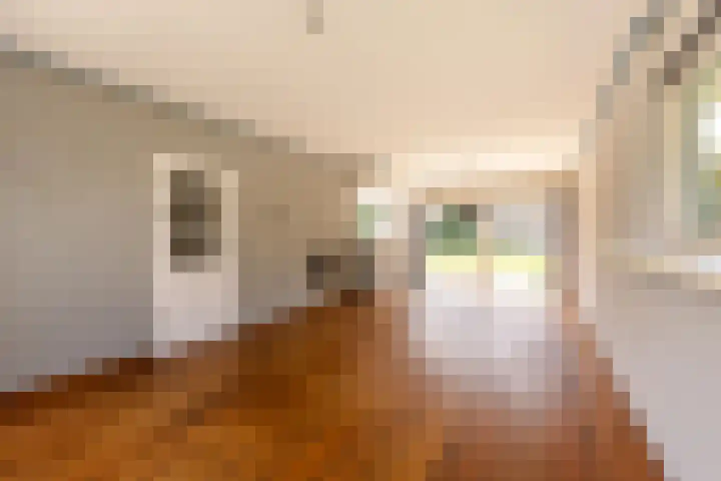 Pibemalaan 28 Pingjum thumbnail 9