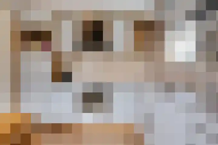 Pibemalaan 6 Pingjum thumbnail 10