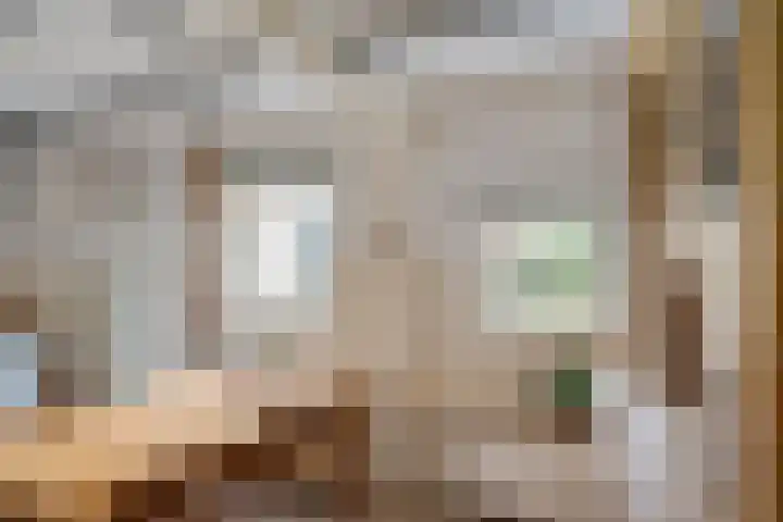 Pibemalaan 6 Pingjum thumbnail 12