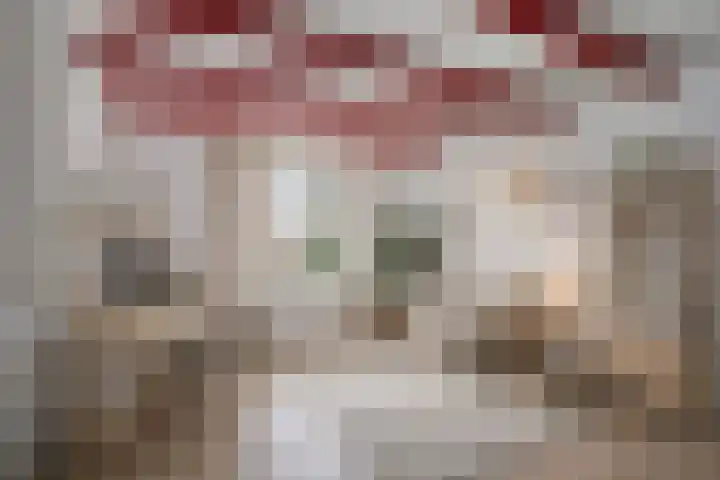 Pibemalaan 6 Pingjum thumbnail 16
