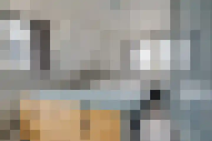 Pibemalaan 6 Pingjum thumbnail 29