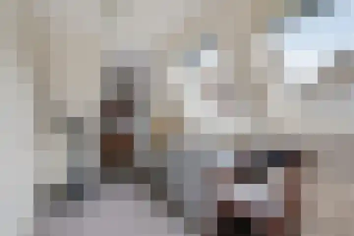 Pibemalaan 6 Pingjum thumbnail 37