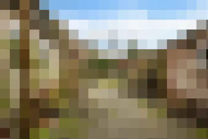 Pibemalaan 6 Pingjum thumbnail 40