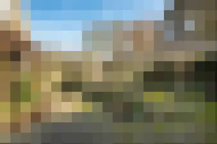 Pibemalaan 6 Pingjum thumbnail 41