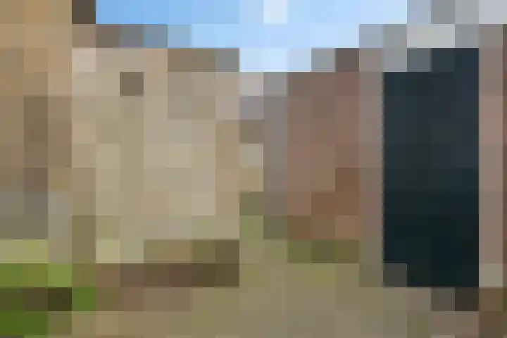 Pibemalaan 6 Pingjum thumbnail 43