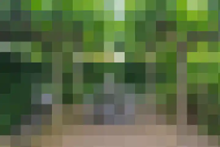 Picardie 23 Gennep thumbnail 37