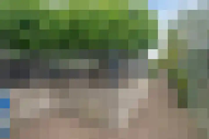 Picardie 23 Gennep thumbnail 41