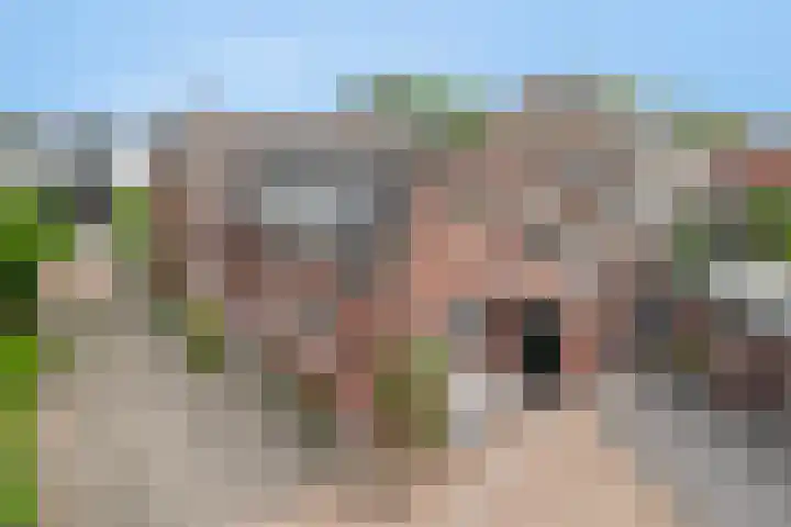 Picardie 23 Gennep thumbnail 46