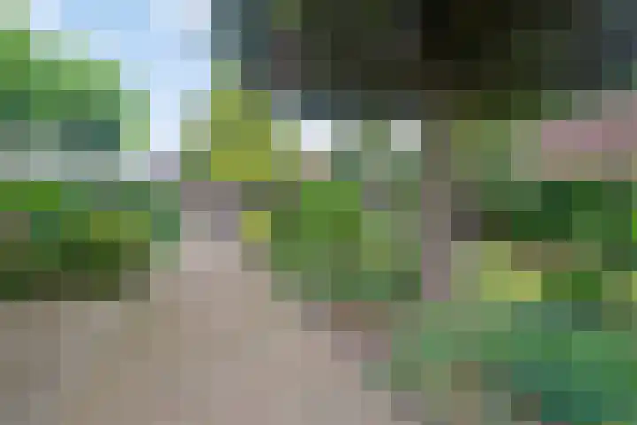 Picardie 23 Gennep thumbnail 5