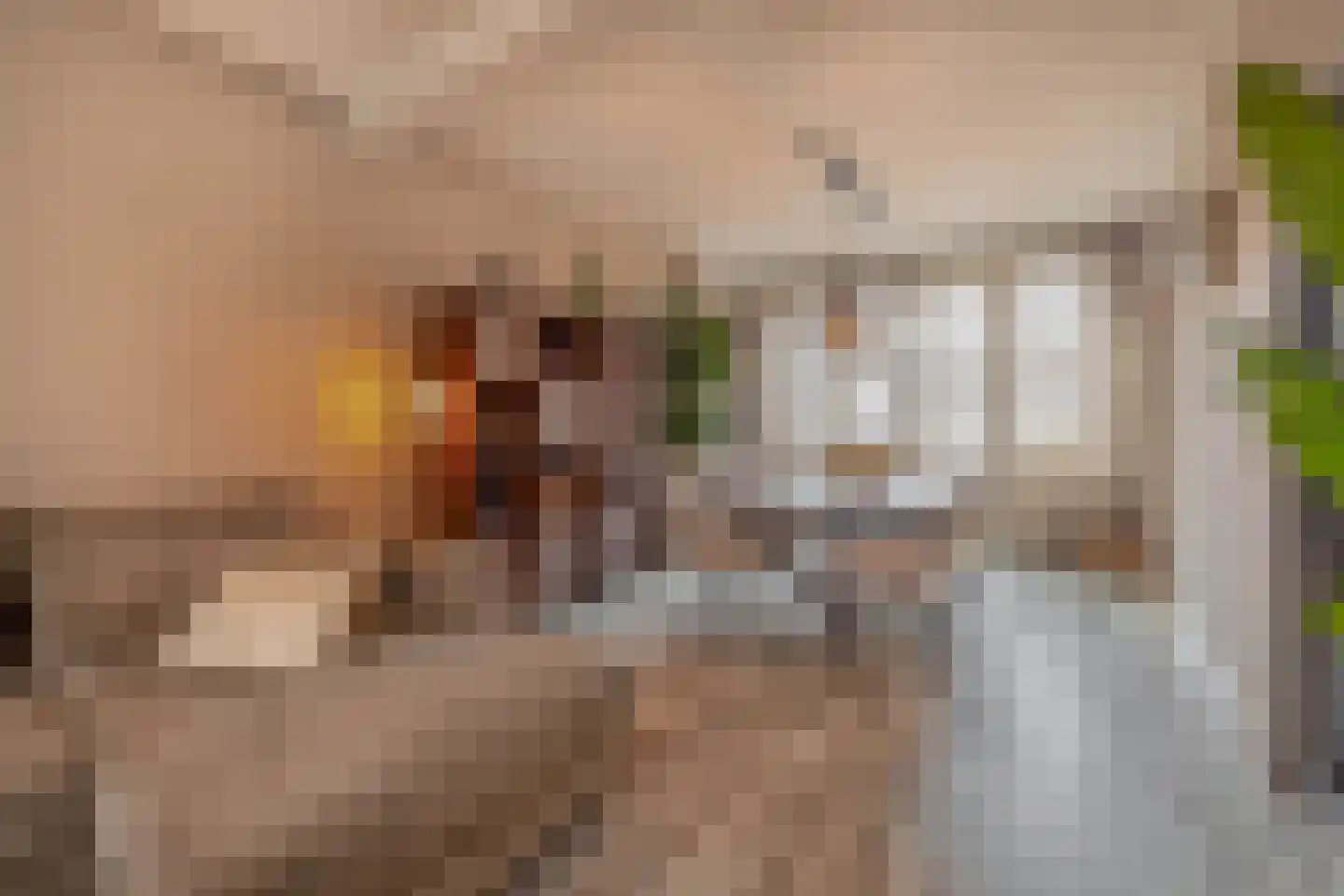 Picardie 8 A Venlo thumbnail 10