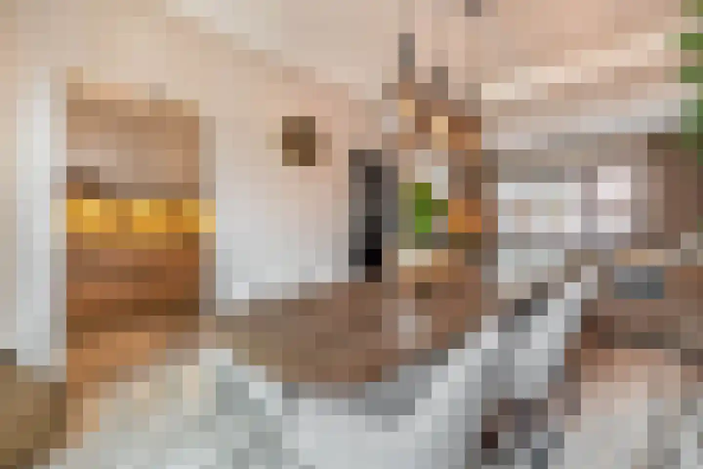 Picardie 8 A Venlo thumbnail 11