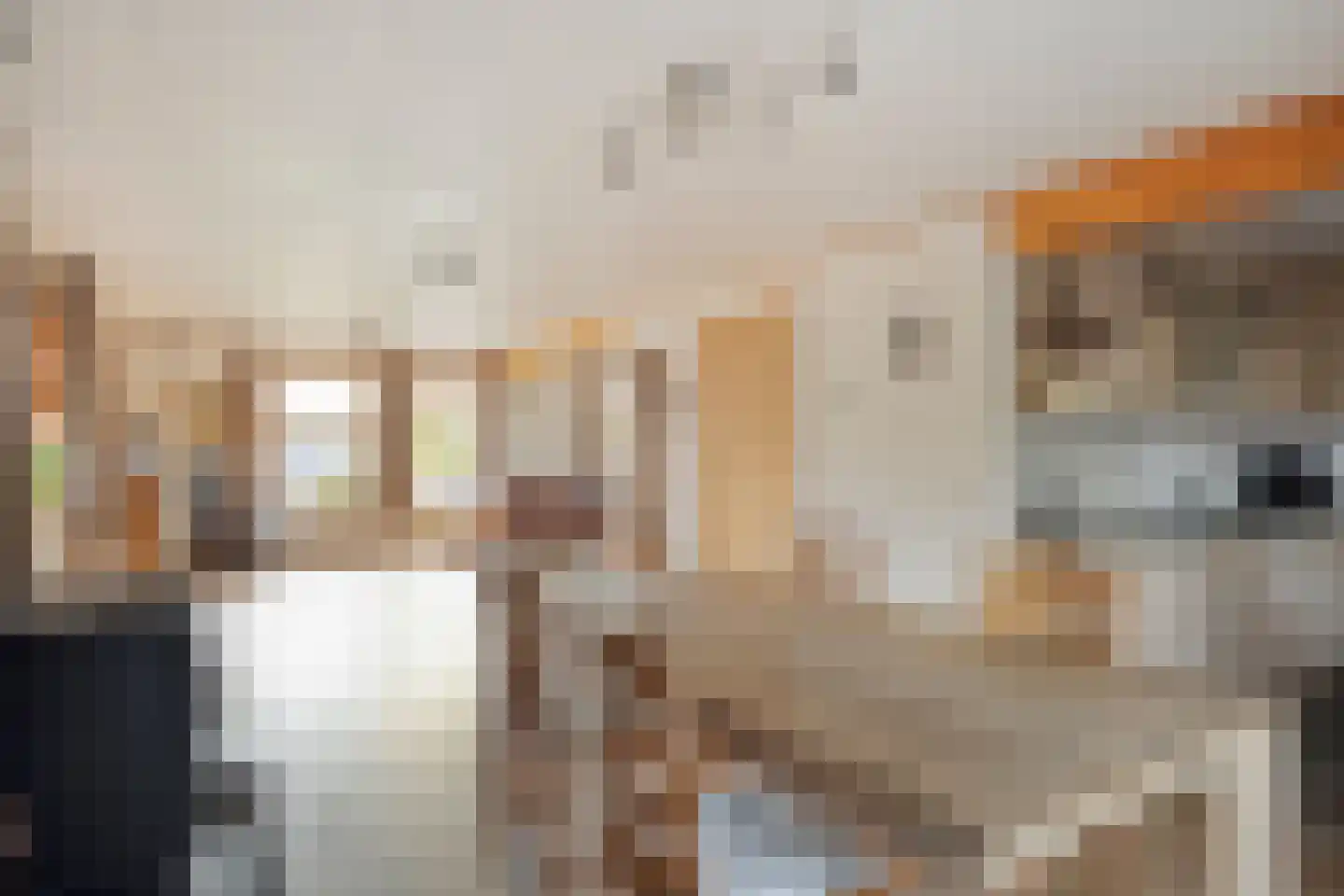 Picardie 80 Gennep thumbnail 15